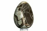 Septarian Dragon Egg Geode - Sparkly Black Crystals #308830-2